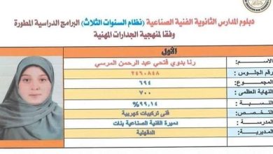 صورة بنت الدقهلية في المركز الأول لشهادة الدبلومات الفنية2024