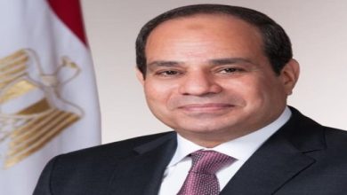 صورة الرئيس السيسي يلتقي ميقاتي ويؤكد دعم مصر كافة مؤسسات الدولة اللبنانية